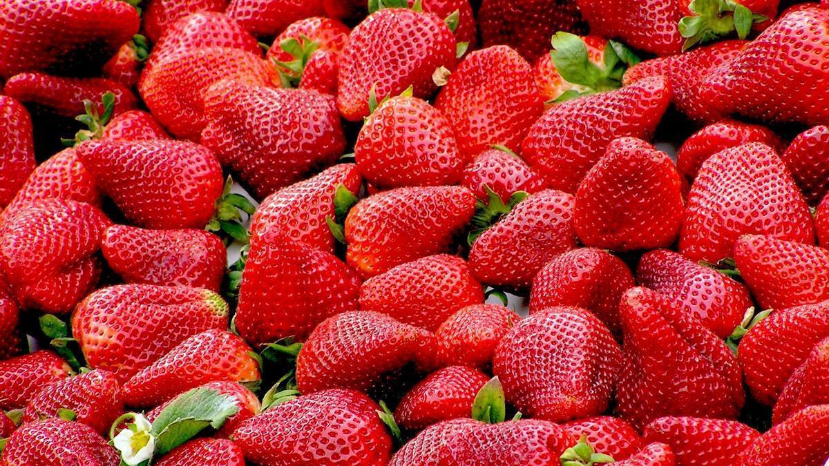 Fresas que aguantan frescas toda la semana, así tienes que prepararlas