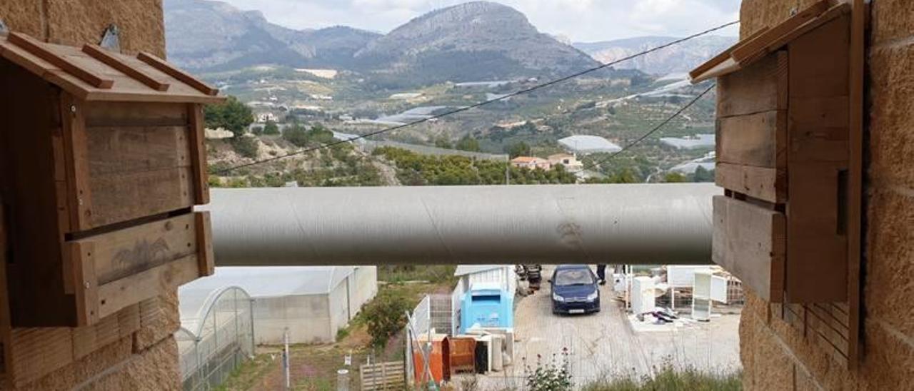 Dos de los refugios creados por estudiantes callosinos para cobijar murciélagos.