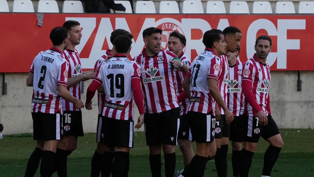 Los jugadores del Zamora CF celebran un gol sobre el césped del Ruta de la Plata.