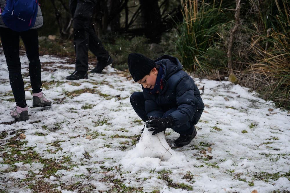 Der frühe Schnee hat am Samstag (2.12.) zahlreiche Insulaner in die Tramuntana gelockt, wo es die seltene Gelegenheit zu Schneeballschlachten oder zum Bau von Schneemännern gab.