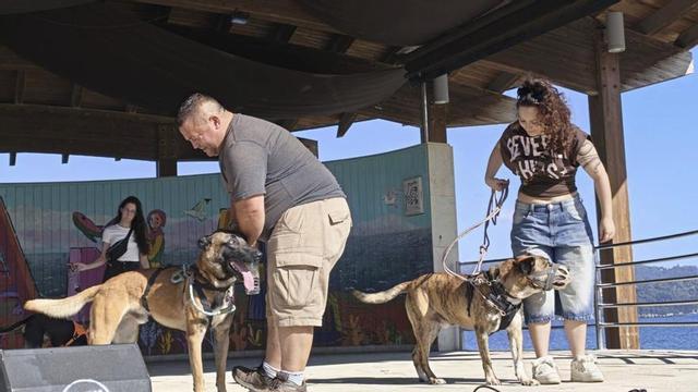 Dos de los perros desfilando en el Palco da Música. | SANTOS ÁLVAREZ