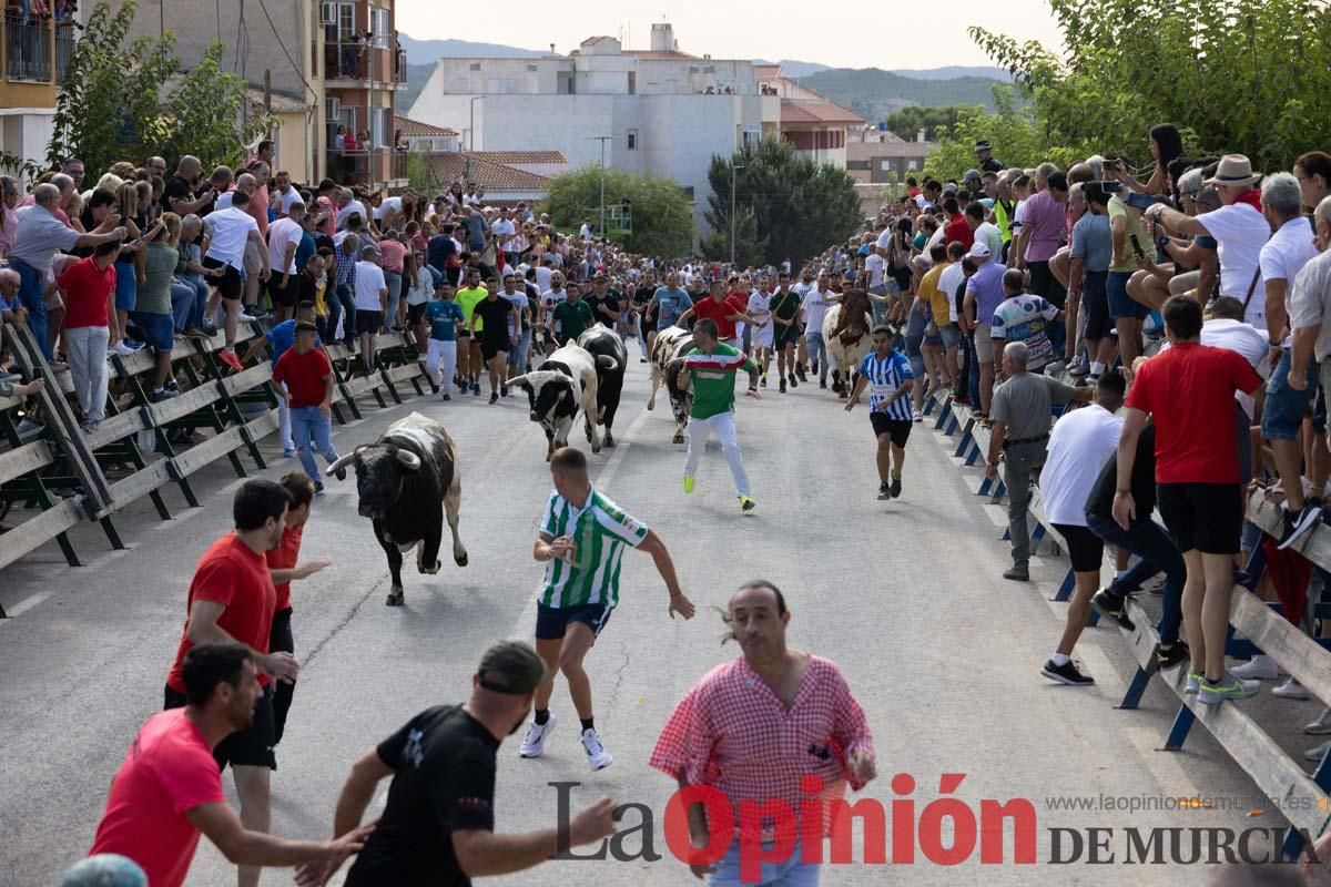 Primer encierro de la Feria del Arroz de Calasparra