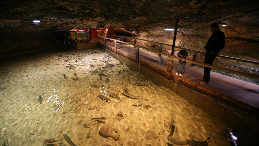 Interior del acuario.