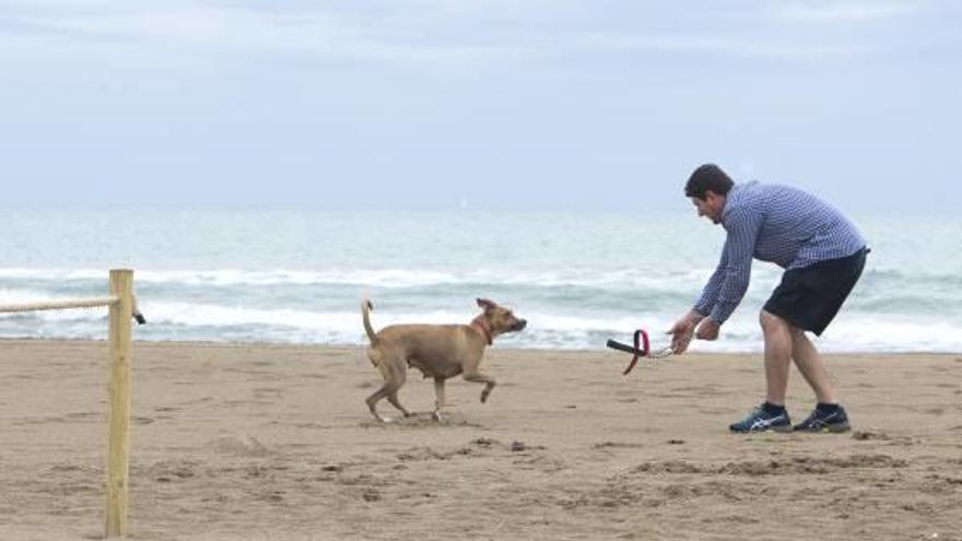 Castelló abre una playa canina de octubre a marzo con el reto de ampliarla al verano