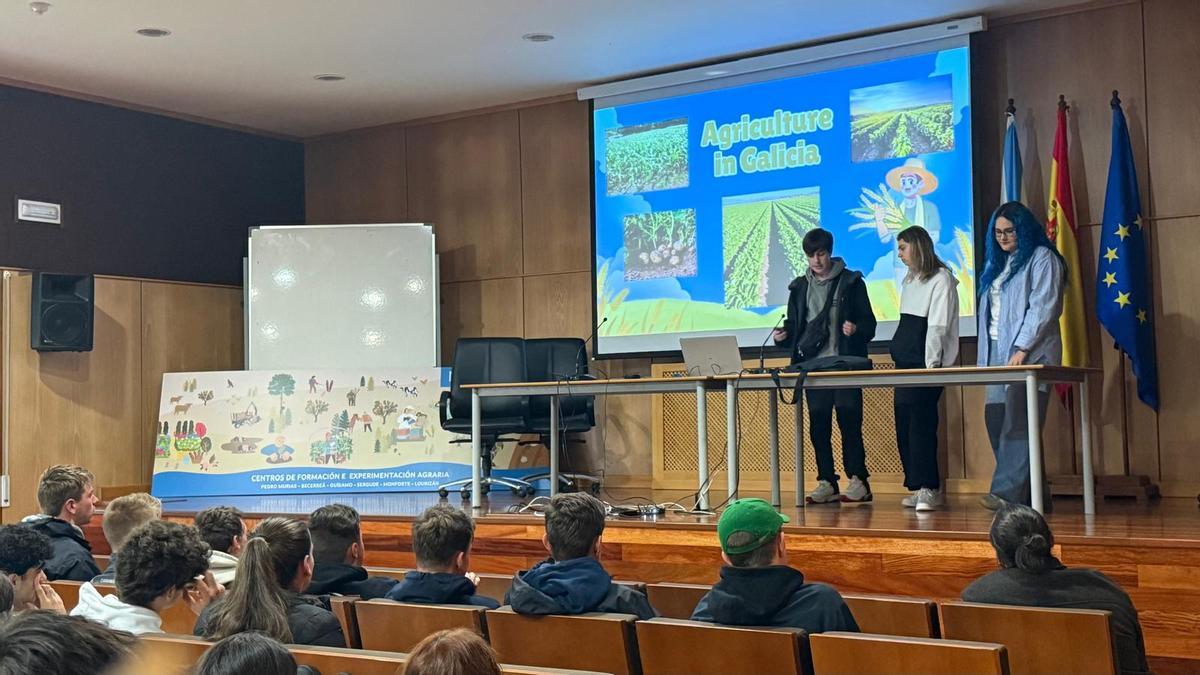 La cantera del campo de Galicia y Bélgica comparte experiencias en Sergude