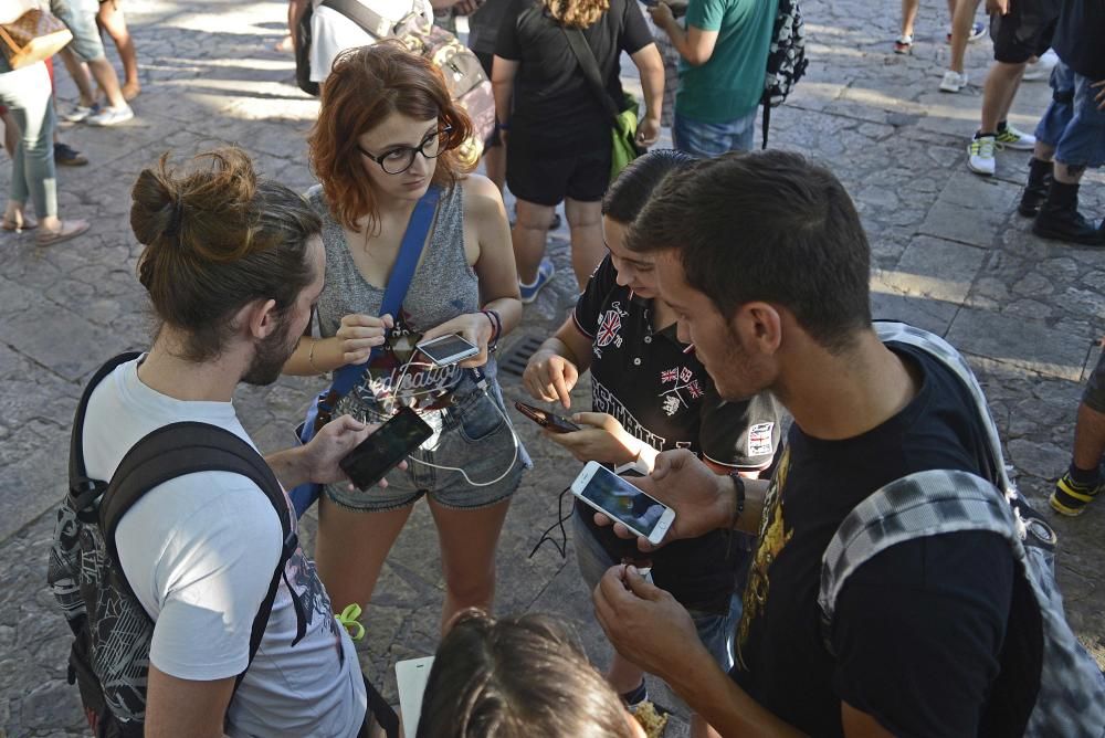 Palma se suma a la caza de pokémons