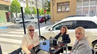 Las gaviotas se adueñan de El Llano: "Se tiene que controlar a la población"
