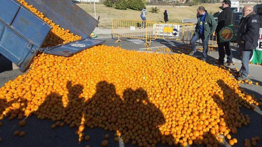 Los agricultores reclaman a la UE que proteja más los cítricos