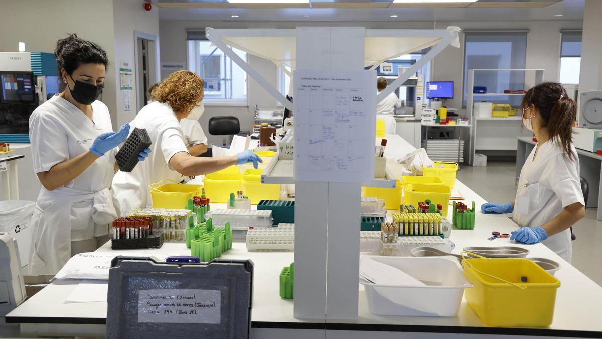 Trabajadoras del laboratorio central del Meixoeiro gestionan muetras.
