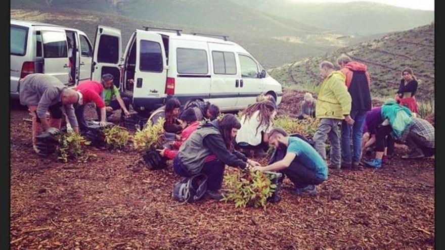 Un festival solidario ayudará a plantar miles de árboles en Gata