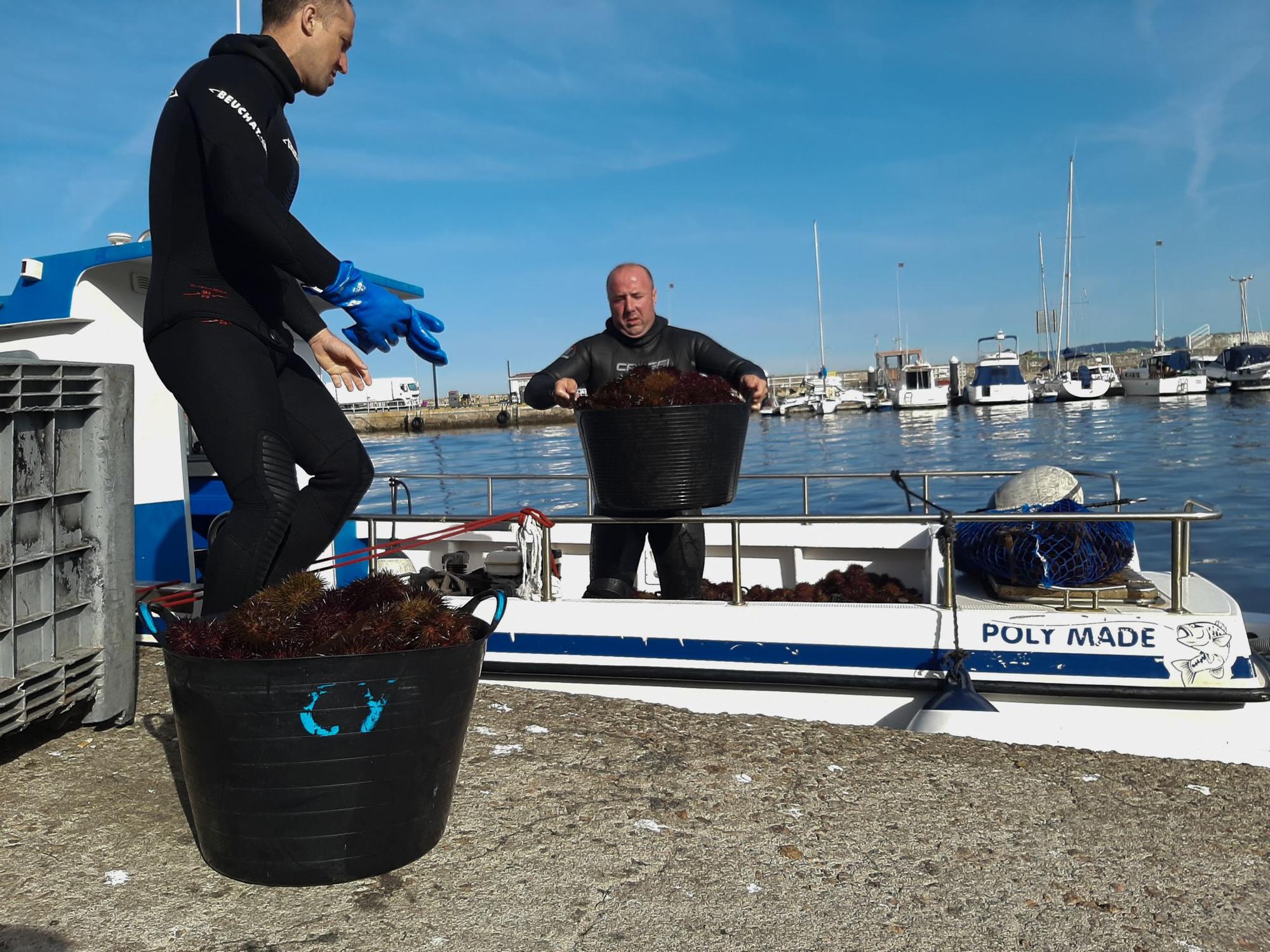 Uno de los barcos descarga ayer a su llegada al puerto de Bueu.