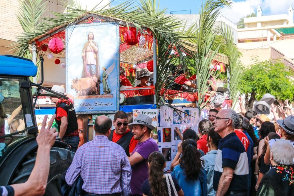 Romería de San Isidro en Cox.