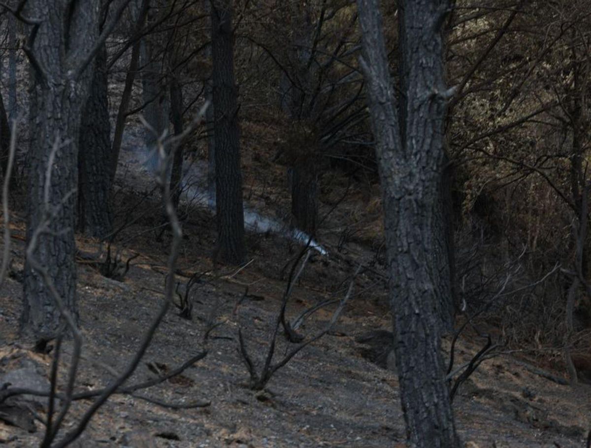Los vecinos de Ibias piden tras el incendio bocas de riego, zanjas y talar árboles junto a las casas