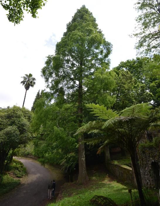 El Jardín Botánico de Lourizán, un pulmón verde