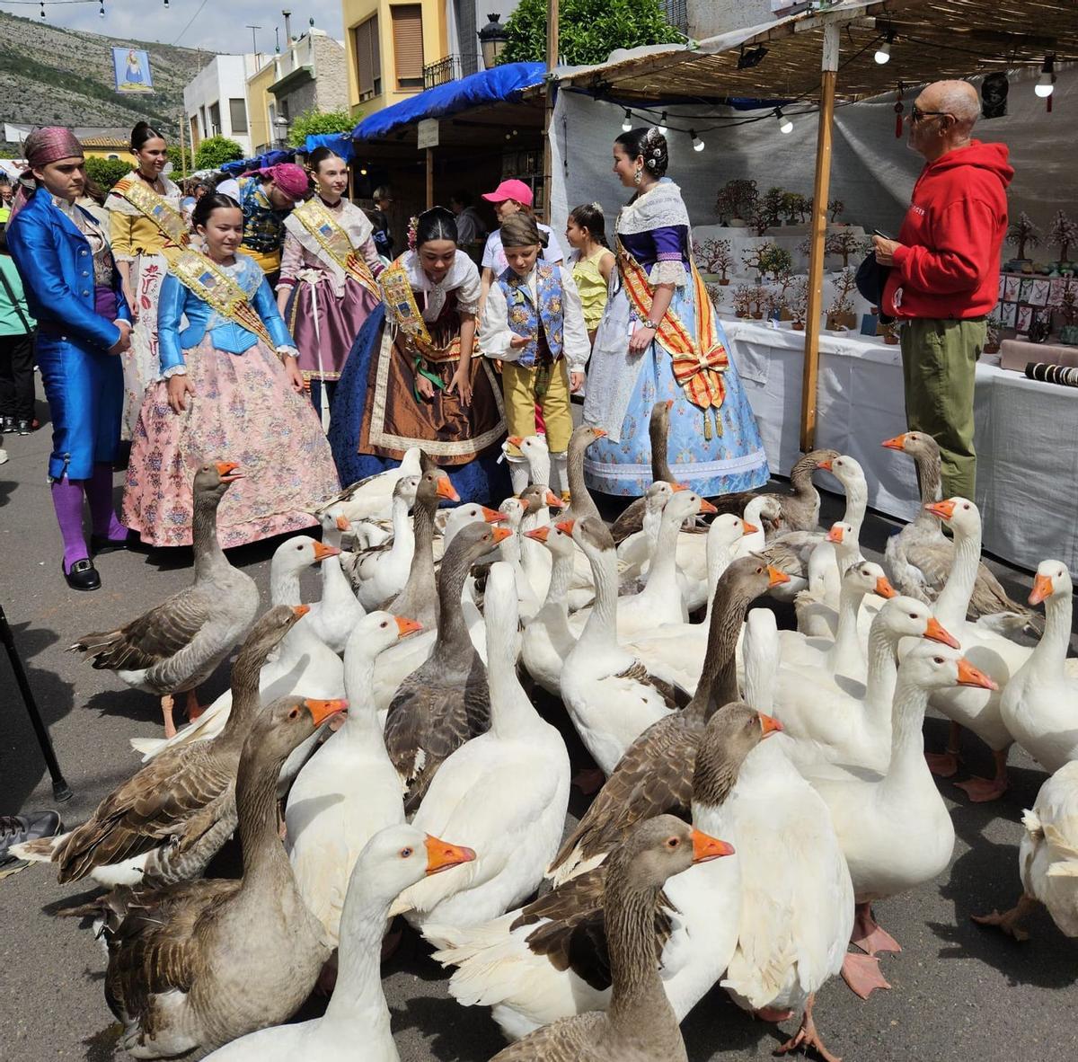 Las representantes festivas de Orpesa acompañan a una manada de ocas en su visita al recinto ferial.