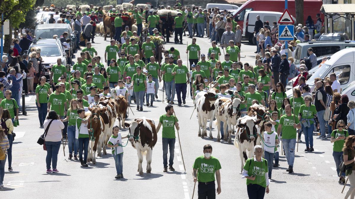 Llanera celebra por todo lo alto San Isidro