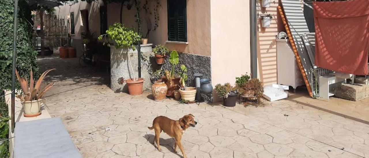 Interior de la vivienda de Son Sardina donde se produjo la intoxicación de una familia por una fuga de gas.