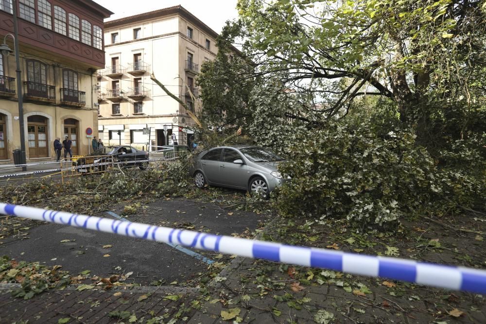 Daños del temporal en Avilés.