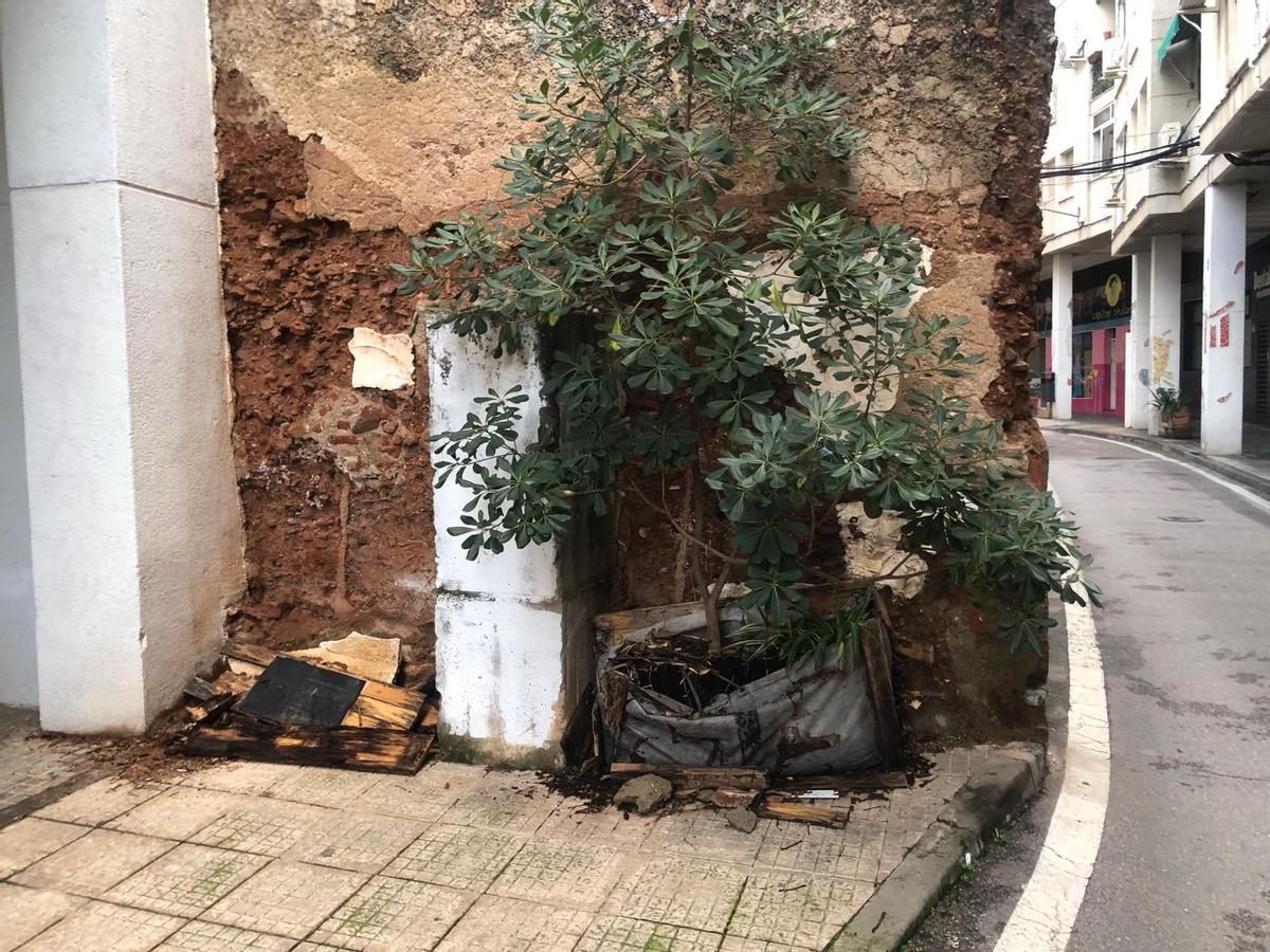 Hernando de Soto: la desidia de Cáceres