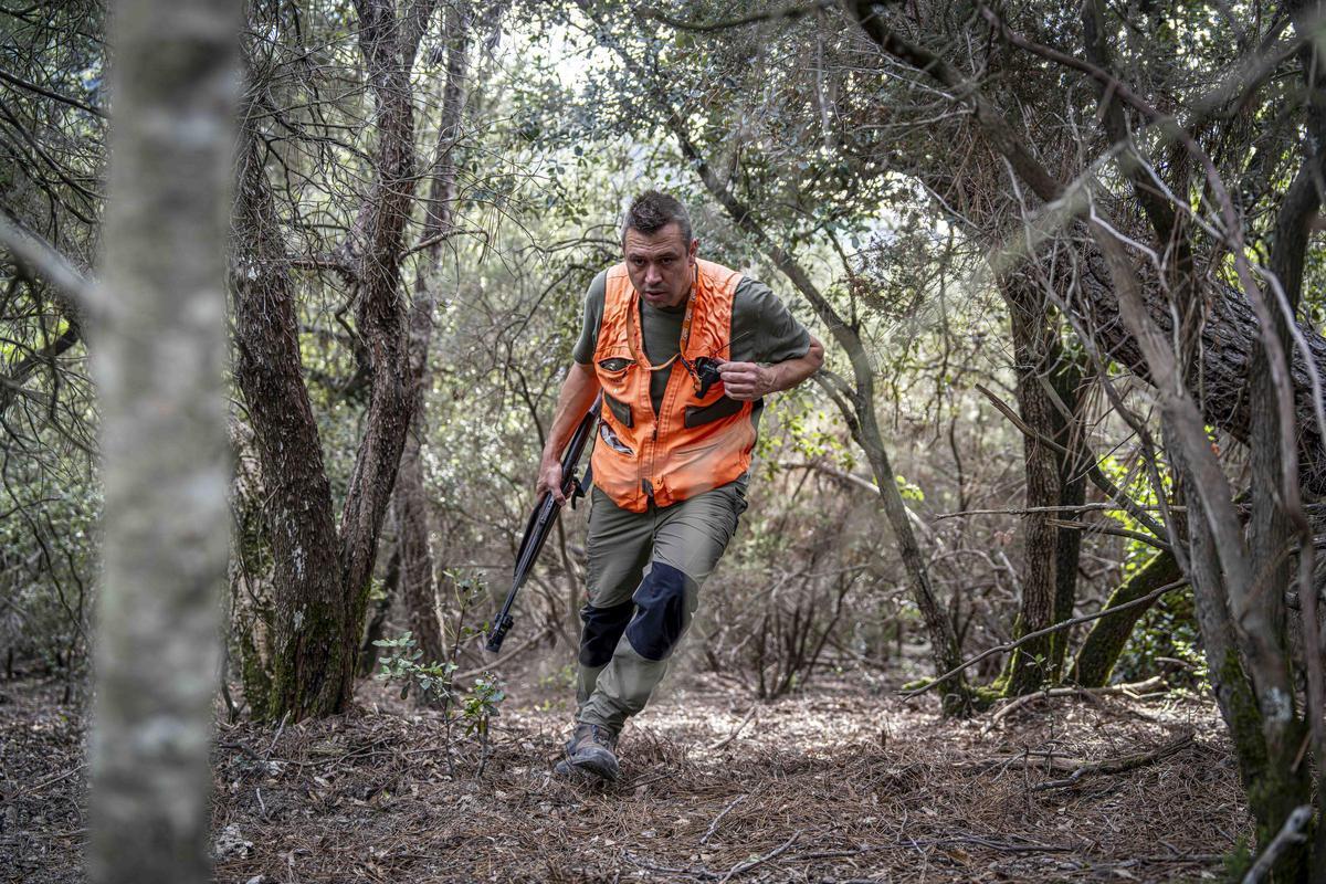 Así funciona una batida de caza en Girona: seguridad, convivencia y control del jabalí