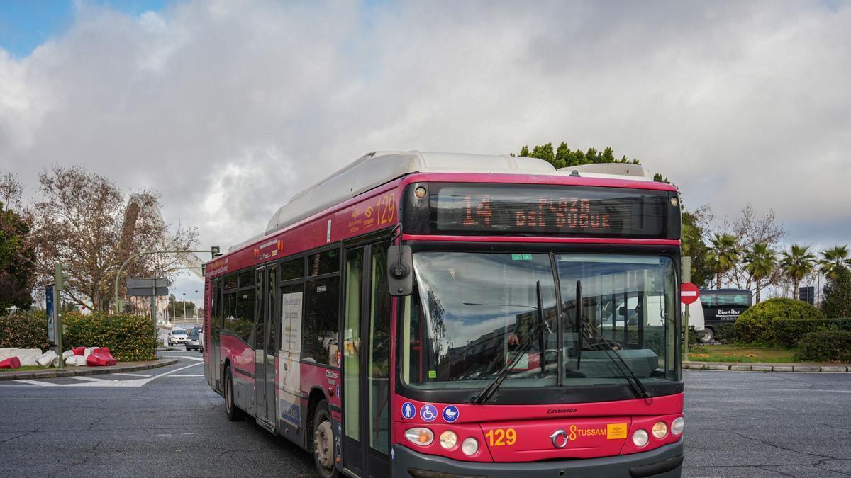 Autobús de Tussam circulando por el centro de la ciudad.