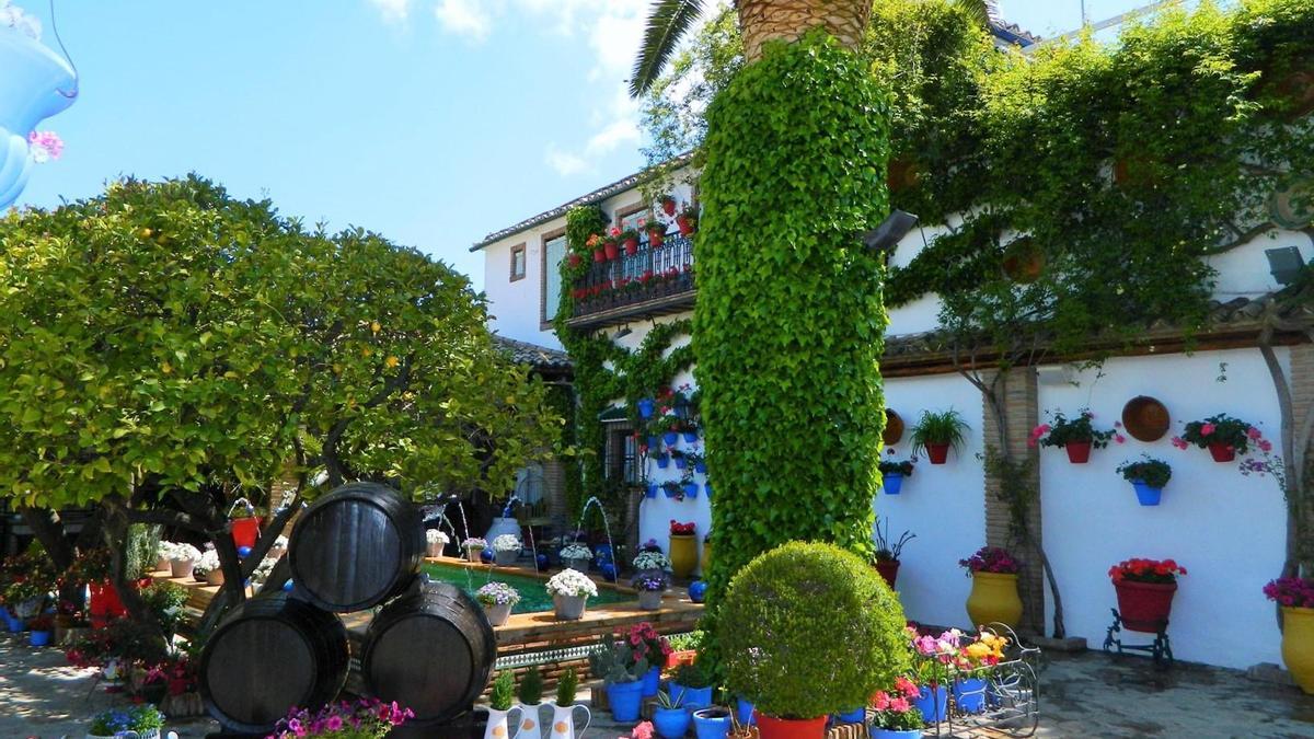 Patio de Anselmo Córdoba en Rute.