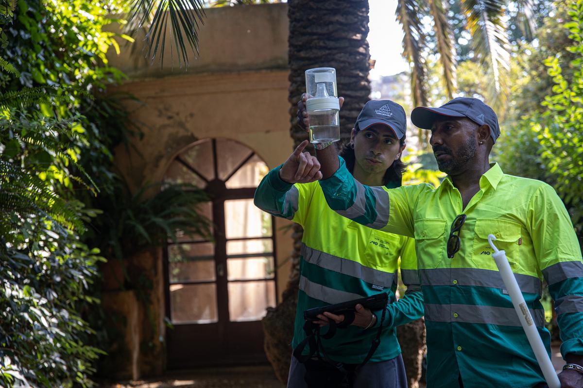 Barcelona entaula la batalla contra el mosquit en 82 zones de risc