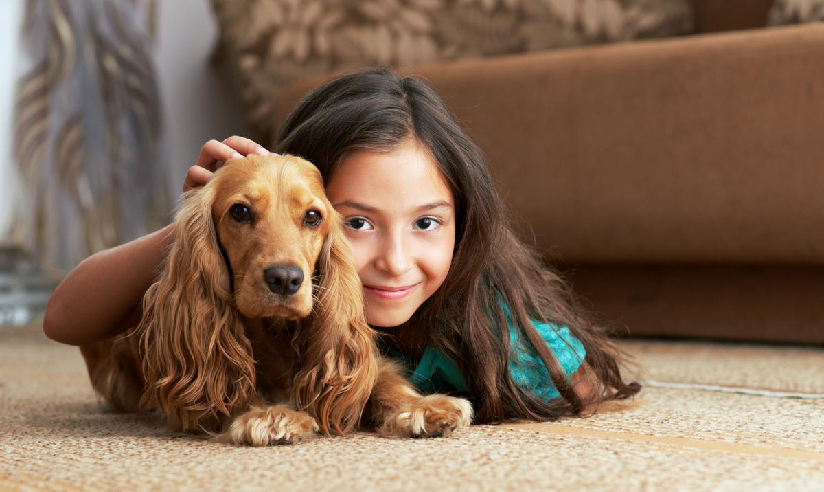 Les mascotes que tenim a casa passaran ara a tenir una major proteció.