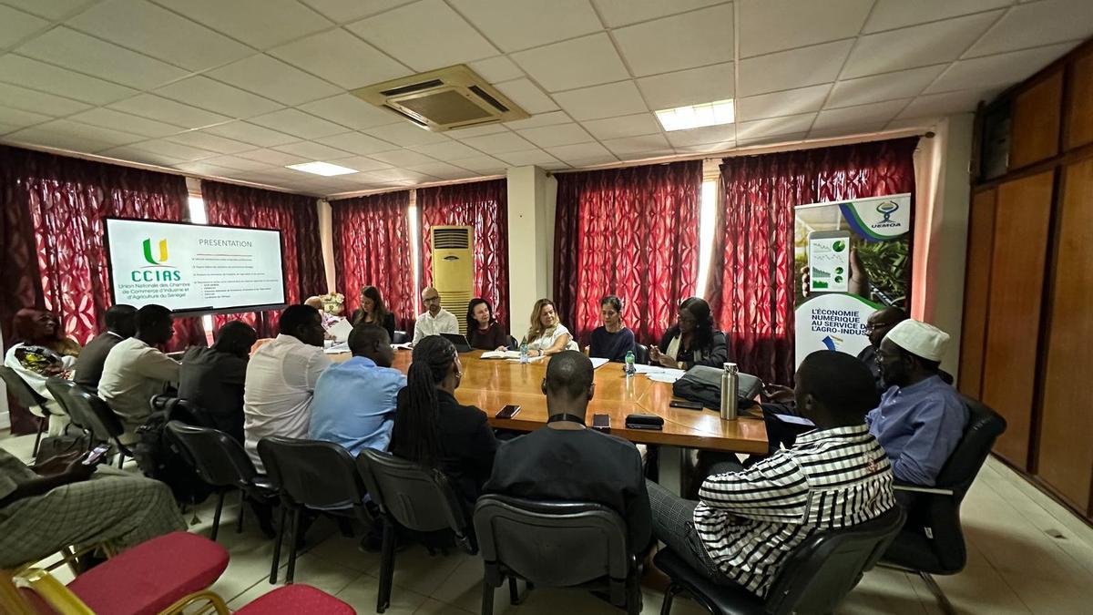 Canarias refuerza la cooperación con África y extiende 'Tierra Firme' a Senegal, Mauritania y Cabo Verde