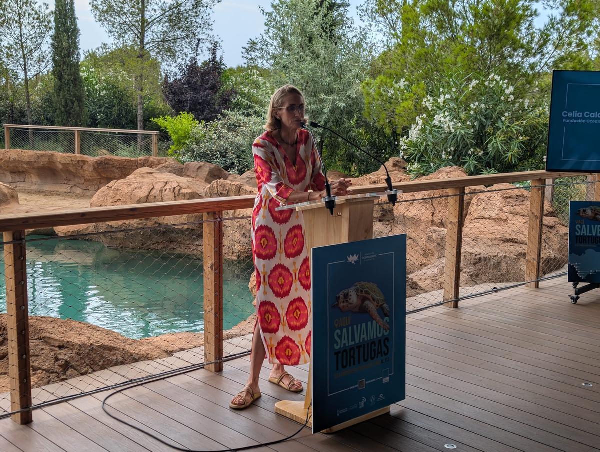 GALERÍA I La presentación de la nueva campaña para rescatar tortugas marinas, en imágenes