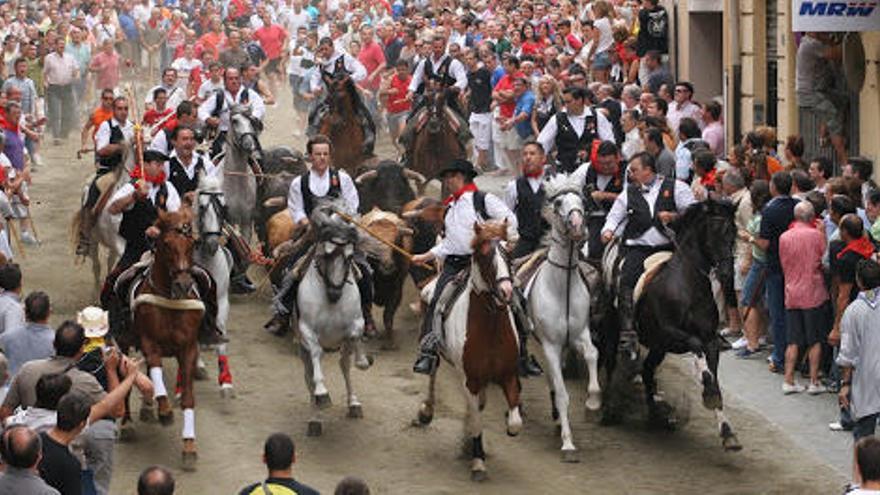 Segorbe suspende la Entrada de Toros y Caballos