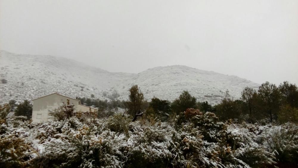 Fotos de la Llacuna, en Villalonga, completamente cubierta de nieve.