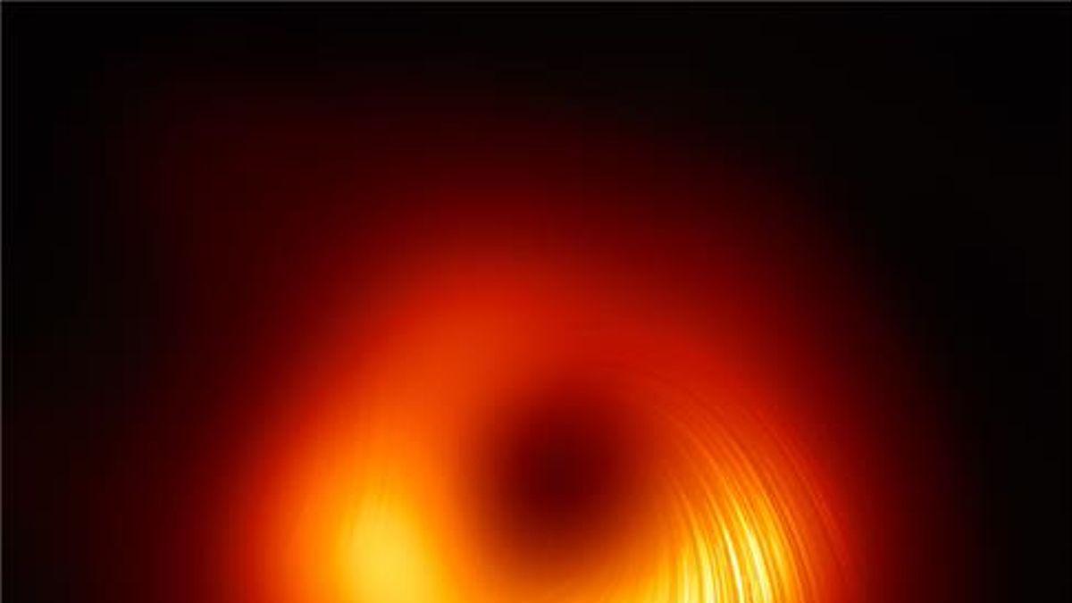 Tomada la primera imagen de los campos magnéticos que limitan un agujero negro
