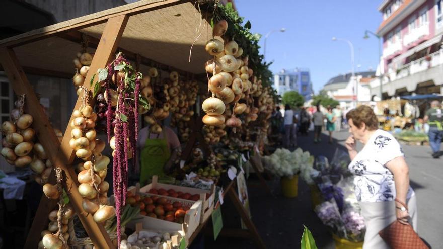 Miño celebra 25 años de la feria de la cebolla chata