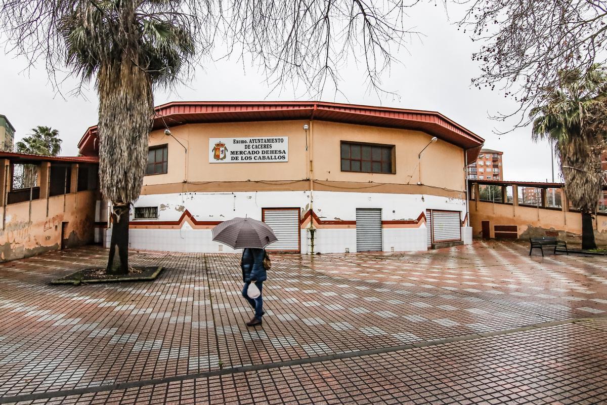 Galería | El Mercado Dehesa de los Caballos de Cáceres