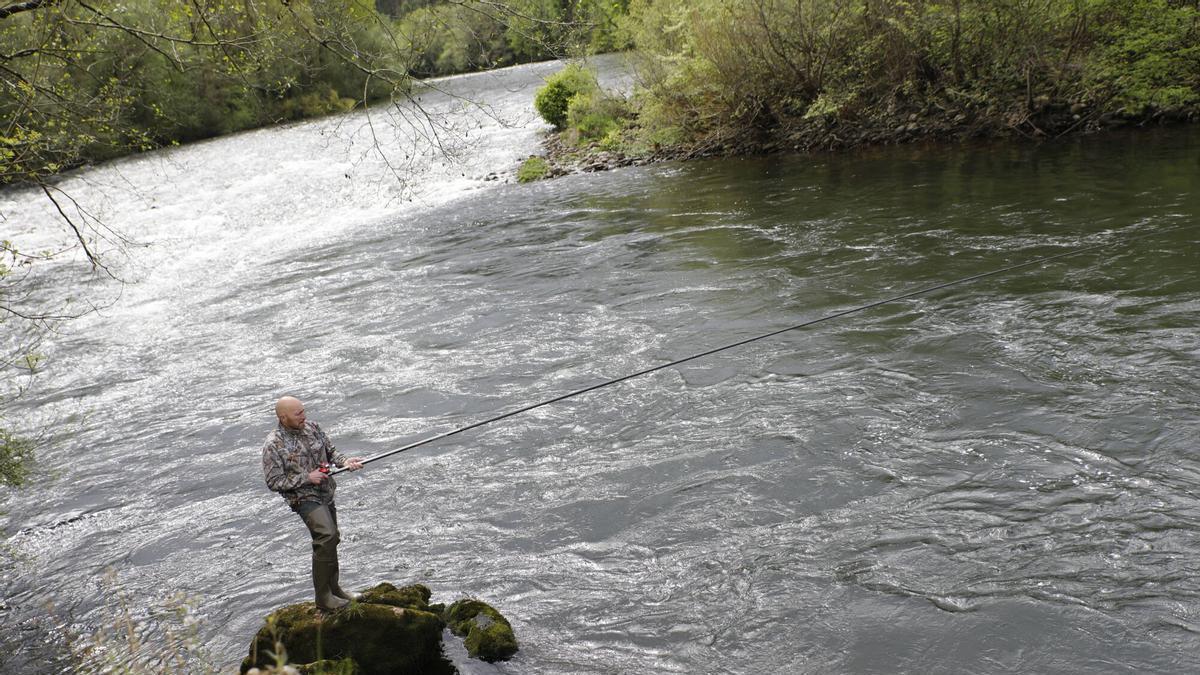 Un pescador, en el Narcea