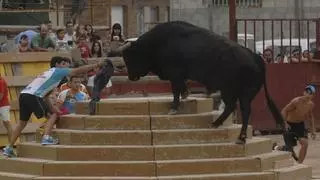 Una vecina de Sant Boi muere al ser embestida por un toro en los 'correbous' de Ayna (Albacete)