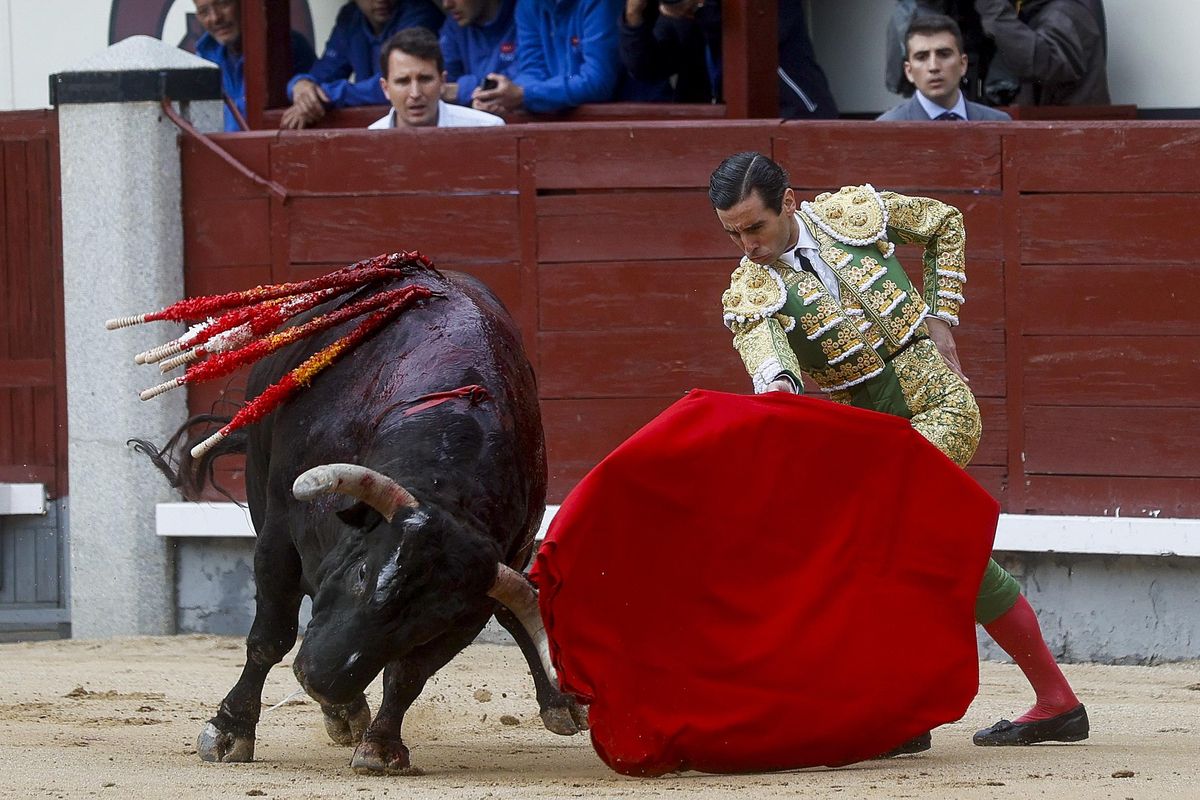 Juan Ortega ante uno de sus toros, este sábado, en Las Ventas.