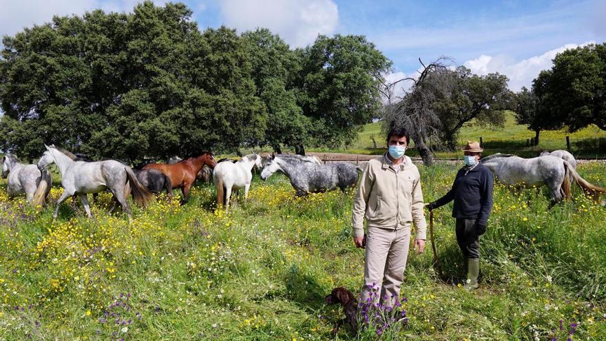 Coronavirus en Córdoba: El caballo volverá a galopar