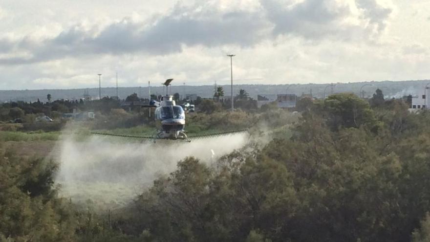 Palma rückt Stechmücken mit Hubschrauber zu Leibe