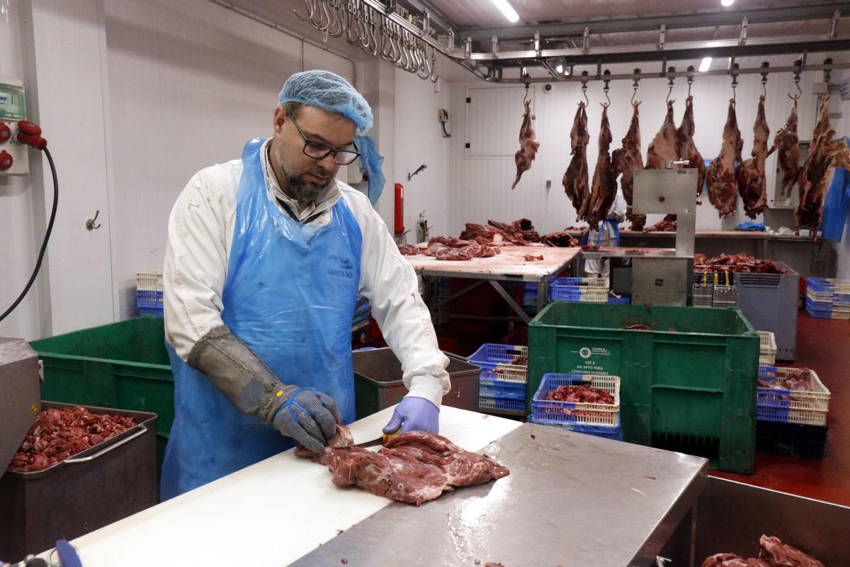 Un treballador de Lantxaga especejant carn de senglar a l'interior de la nau de l'empresa a Fornells de la Selva