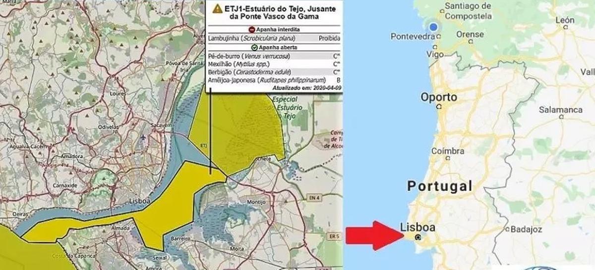 La zona productora del estuario del Tajo.