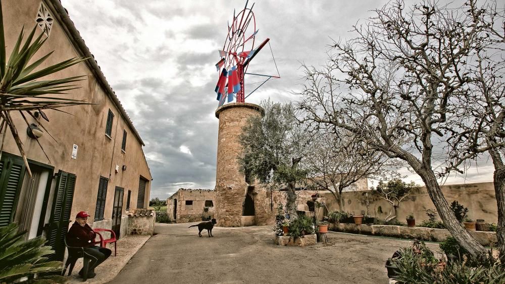 Un soplo de aire para los molinos