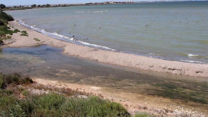 Cachá expropiará fincas en producción para los filtros verdes del Mar Menor