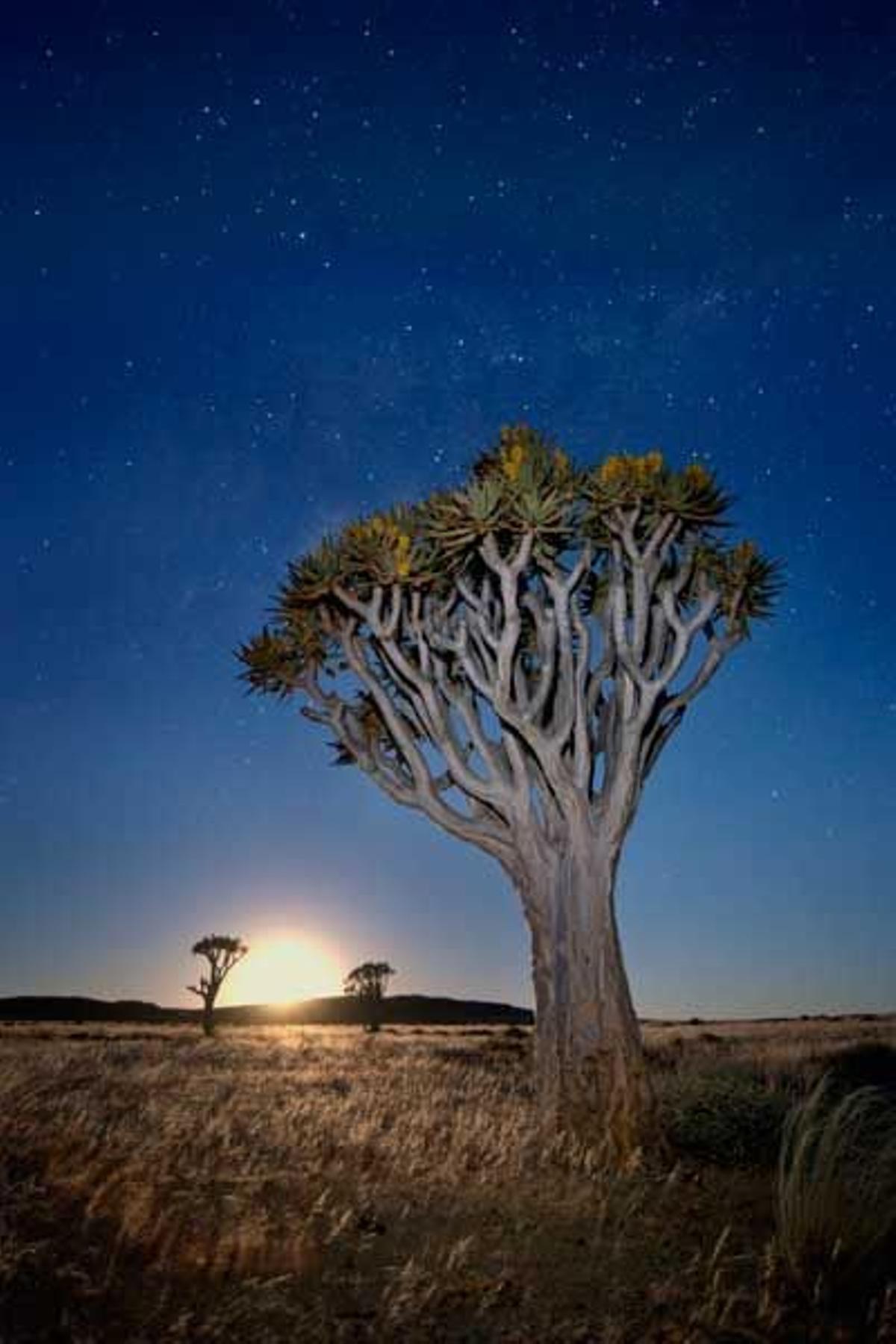Parque nacional de Namib-Naukluft, en Namibia.