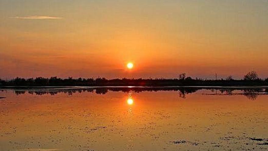 Posta de sol amb la calma més absoluta als Aiguamolls