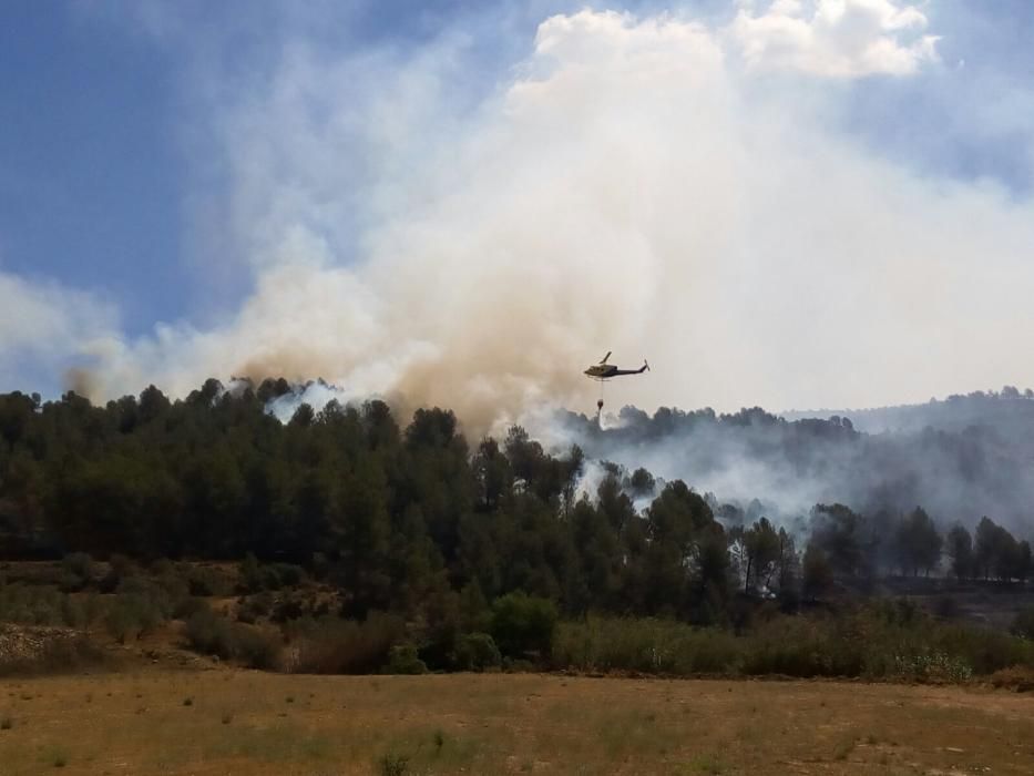 El fuego, en el término de Chella.