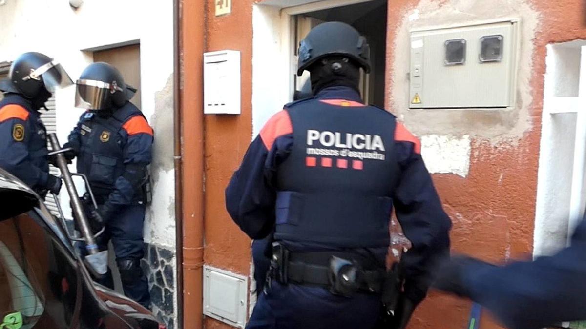 Els Mossos detenen cinc persones per sis plantacions de marihuana