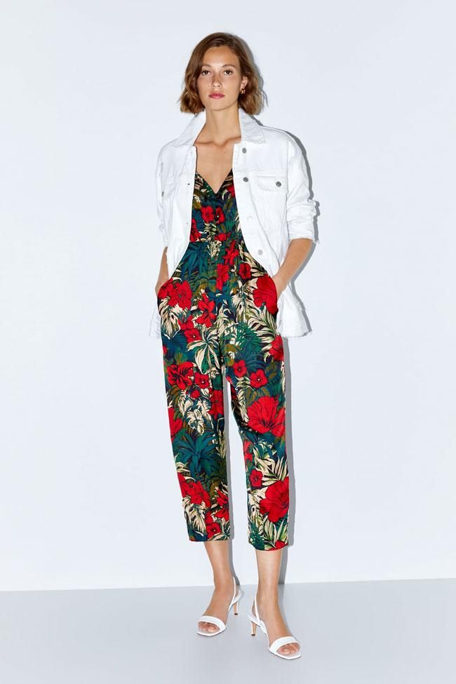 Mono tropical