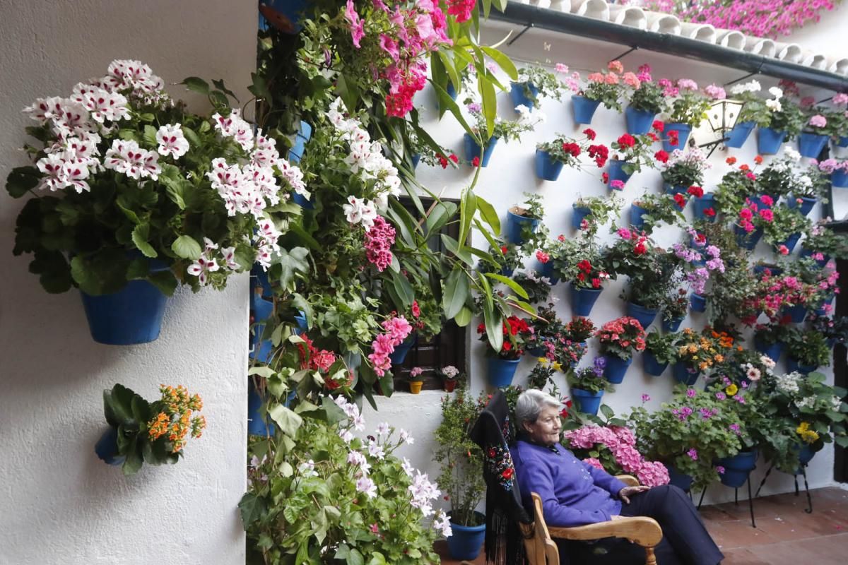 Fotogalería / Descubriendo los patios de la ruta Santiago-San Pedro